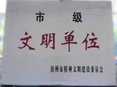 喜訊！公司榮獲“市級文明單位”稱號